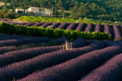 Provence