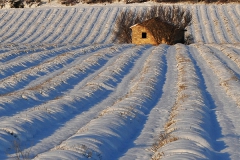 Provence