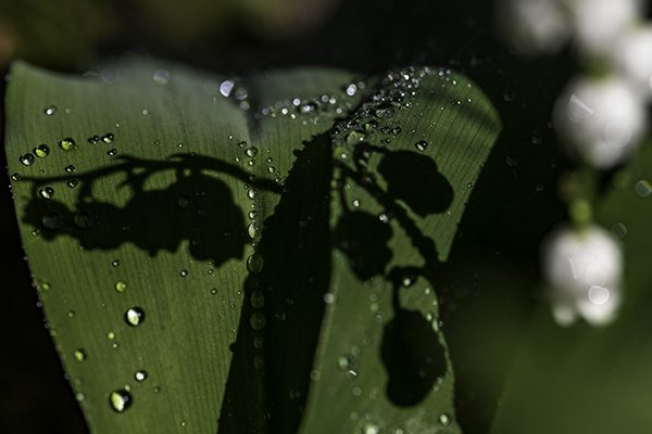 web05x-AR1_8000NEF2021