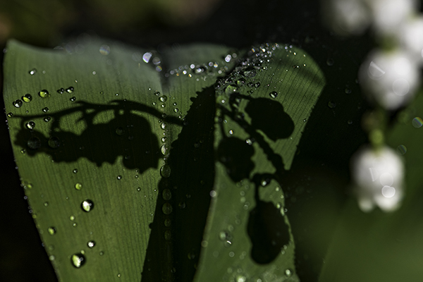 web05x-AR1_8000NEF2021