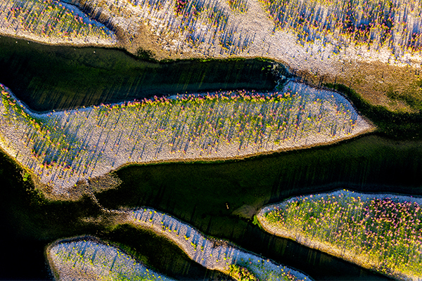 DJI_0256NEF