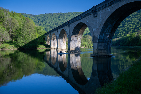 Z91_2016NEF-Poster-Kopie