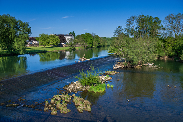 Z91_2059NEF-Poster-Kopie