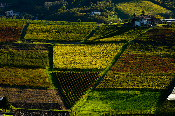 Piemonte Piemont Piëmont