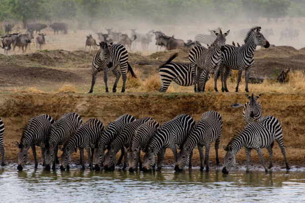 Tanzania