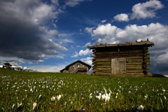 Gitschberg Jochtal